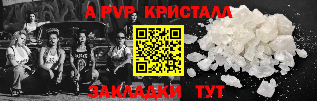 Alfa_PVP СК КРИС Кириши