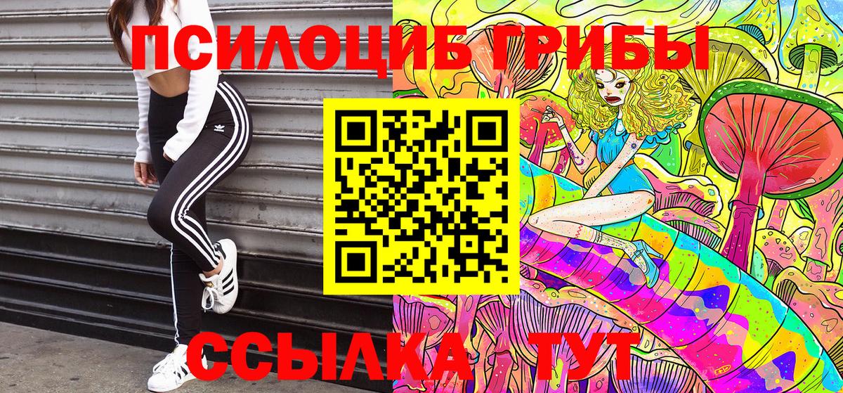 Кириши  Псилоцибиновые грибы Psilocybine cubensis  Вход с VPN 